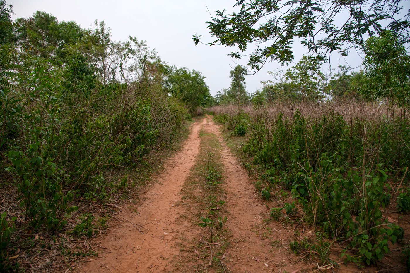 Most Sabar Adivasi villages are located deep inside forests of Jhargram, West Medinipur, Purulia and Bankura