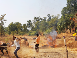 വർളി ഗ്രാമത്തിൽ ഈയിടെ ആഘോഷിച്ച ഒരു ദീവാലിയെ ഓർക്കുമ്പോൾ