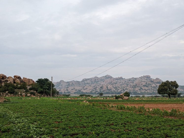 Left: Roughly 53 per cent of Gudikal’s residents earned their primary source of income from cultivation.