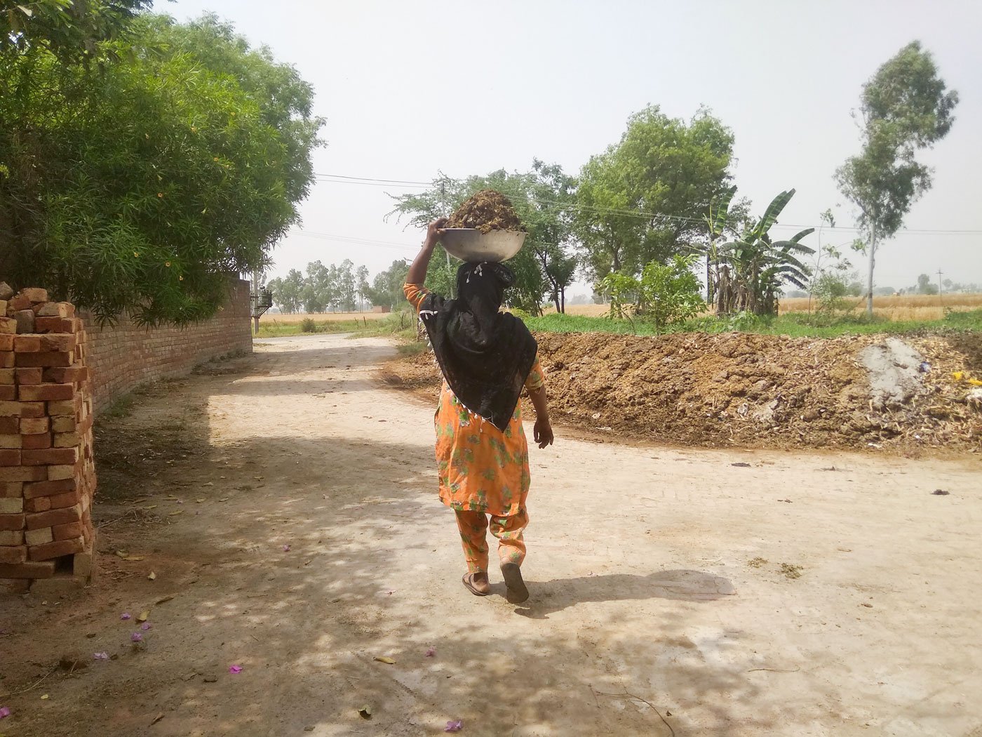 It takes 30 minutes, and eight short but tiring trips, to dump the collected dung outside the house