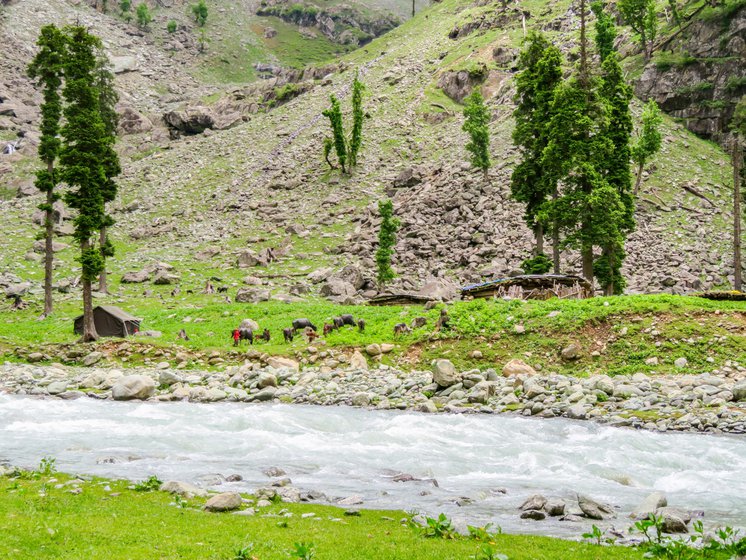 Left: The Lidder river with the Salar settlement on the other side.