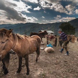 A Brokpa preparing for a journey to Chander village, around 12 kilometres from Lagam.