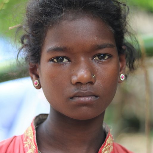 Dinni Singh is a Student (Class 8) from Kendua, Betanati, Mayurbhanj, Odisha