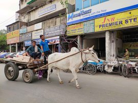 The men who go carting in the capital city