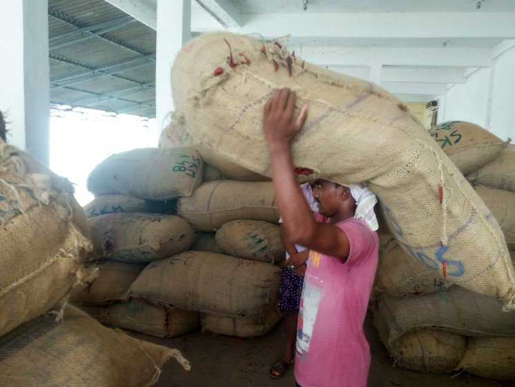 A man carrying heavy sack of dry mirchi on his head