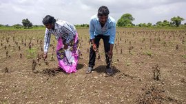 ‘বন্যা যেন আমাদের জিভে কাদার স্বাদ রেখে গেছে’