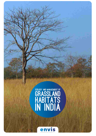 Grassland in India.png