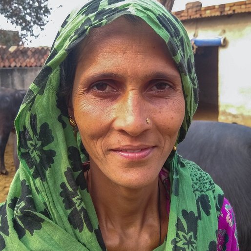 Pavita Devi is a Dairy farmer, farmer and homemaker from Khushpura, Jatusana, Rewari, Haryana