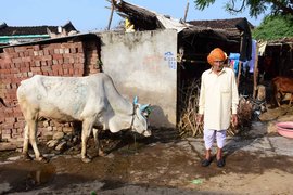 ‘গ্রাম ভালো লাগে বটে, কিন্তু জীবন বলতে যে এখানে কিছুই নেই’