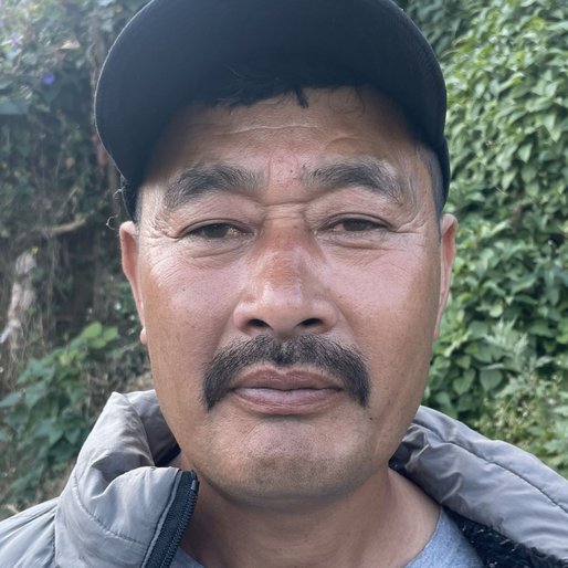 Nima Tamang is a Works as a cook at homestays from Pattabong Tea Garden, Darjeeling Pulbazar, Darjeeling, West Bengal