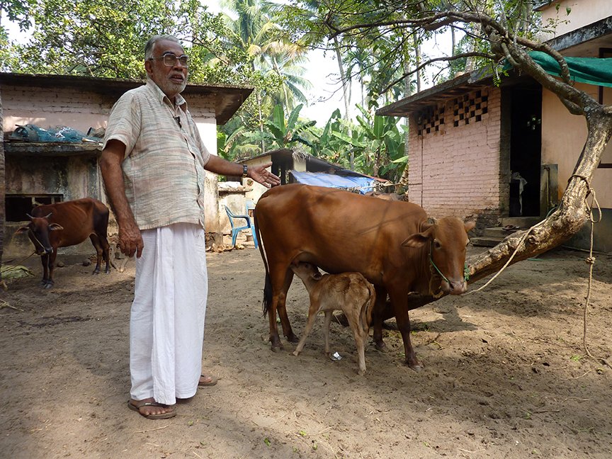 Chandran Master with the Vechur mother and child