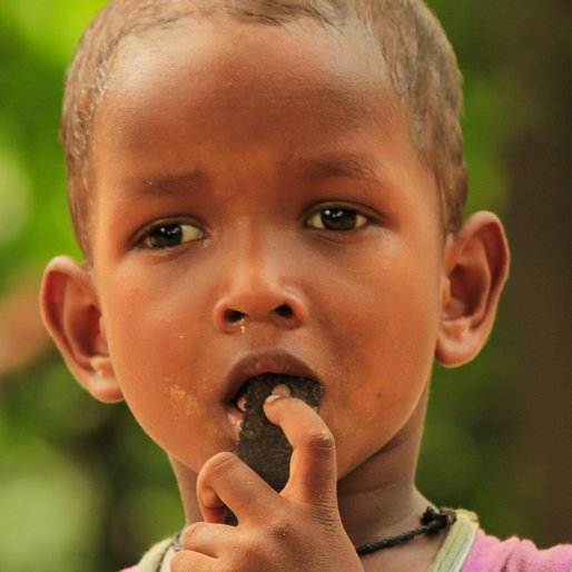 SAURI MURMU is a person from Angua, Dantan I, Paschim Medinipur, West Bengal