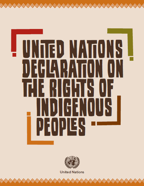 United Nations Declaration on the Rights of Indigenous Peoples