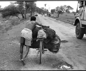 Coal carrier pushing coal on a bicycle without a chain 