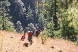 হিমাচলৰ মেহনতী মহিলাৰ কামৰ শেষ নাই