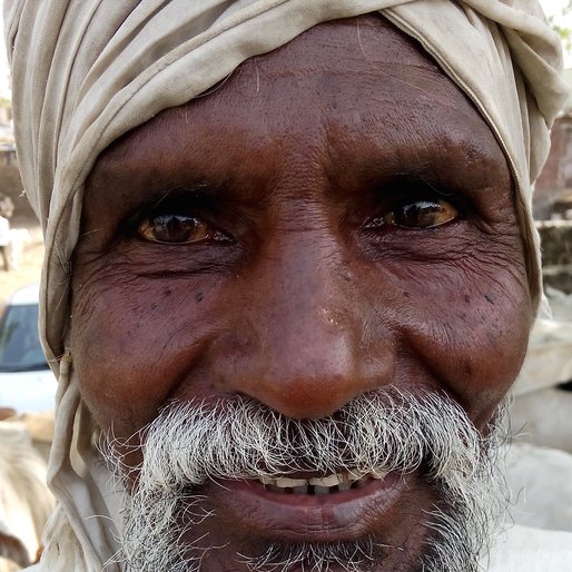 KISANRAO RAUT is a Cattle herder (landless) from Gunj, Dhamangaon, Amravati, Maharashtra