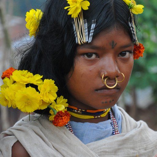 KUNI MAJHI is a Marginal farmer and forest produce gatherer from Lakhpadar, Lanjigarh, Kalahandi, Odisha